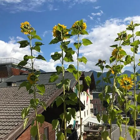 Doris' Nest Apartman *